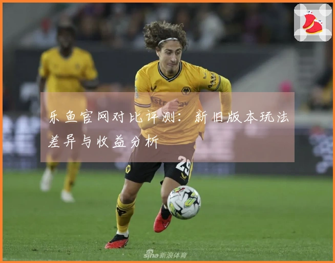 乐鱼官网对比评测：新旧版本玩法差异与收益分析
