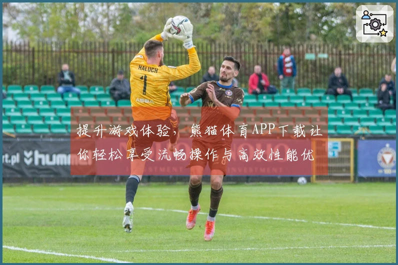 提升游戏体验，熊猫体育APP下载让你轻松享受流畅操作与高效性能优化！